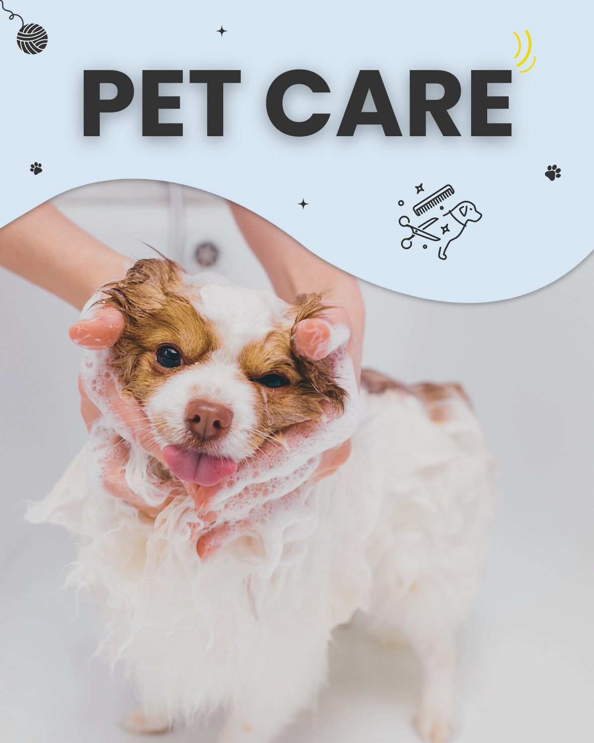 PET CARE