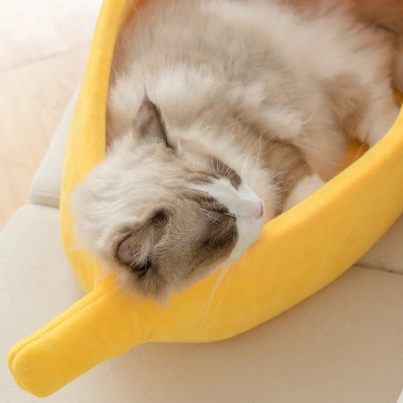 Banana Bed